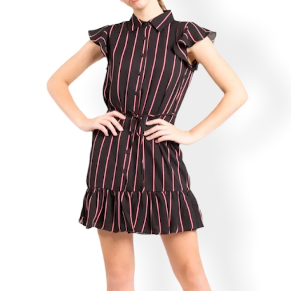 BB Dakota City Lines Dress NWT